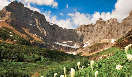 "BP0613_CHaney_Ptarmigan_445x260.jpg"