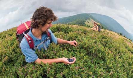 "BP0613_kharvey_445x260.jpg"