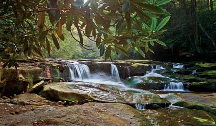 BP0613 Stough OtterCreek 445x260.jpg 80241 BP0613_Stough_OtterCreek_445x260.jpg