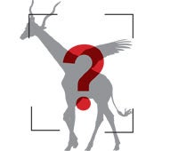 "wired_technology_app_illo_200x170"