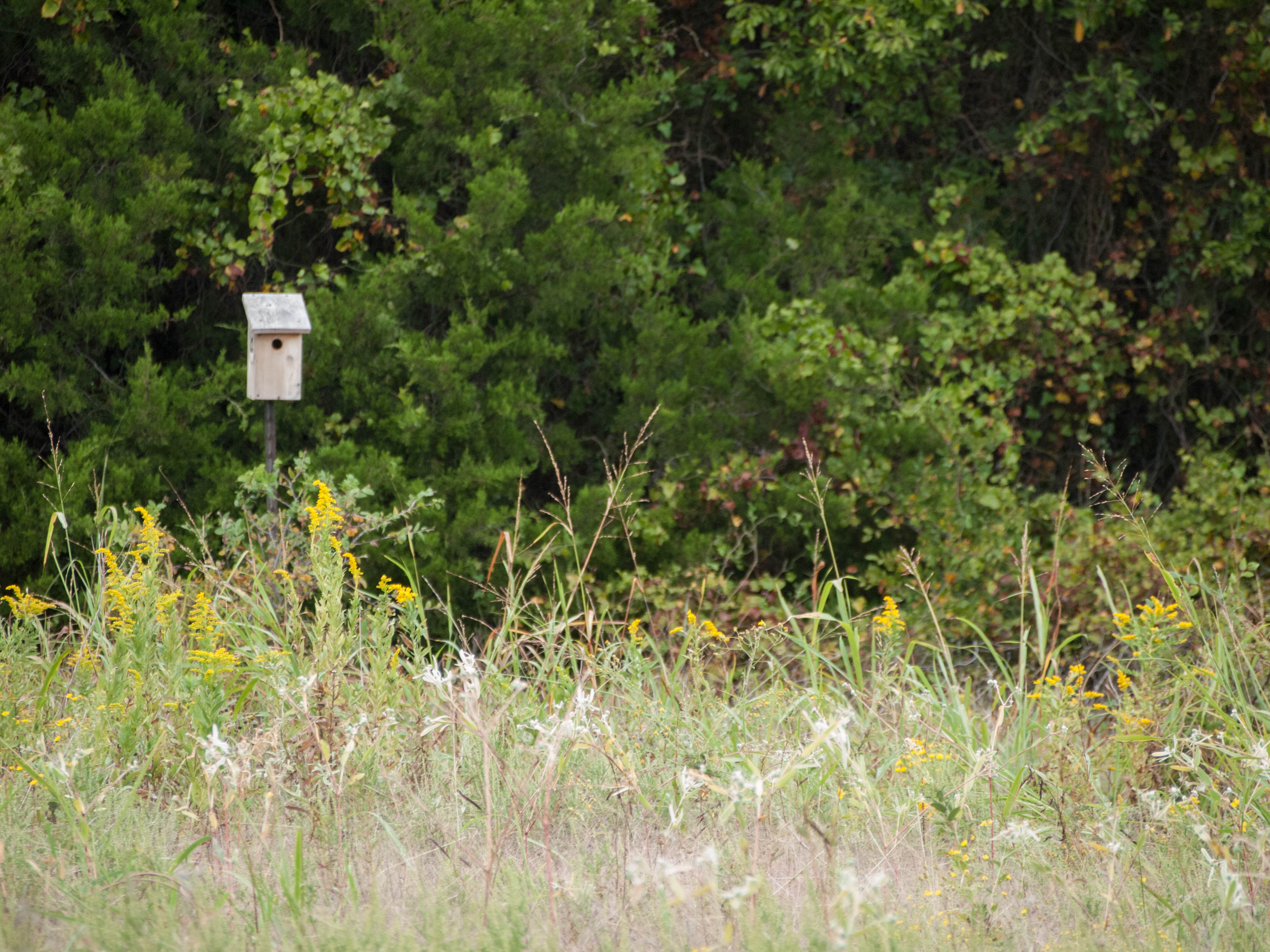 "Ray Roberts Lake State Park"