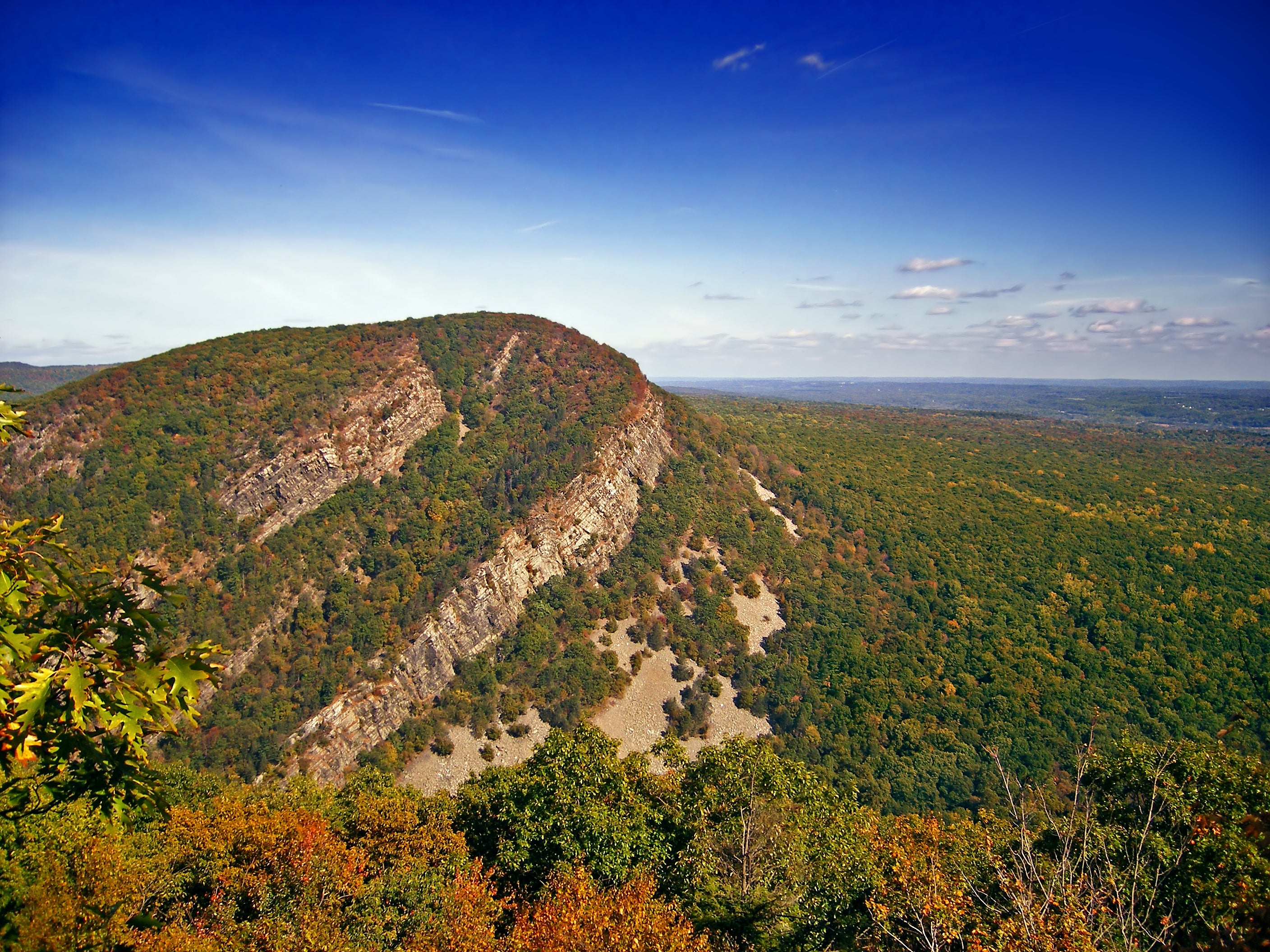 "Mount Tammany"