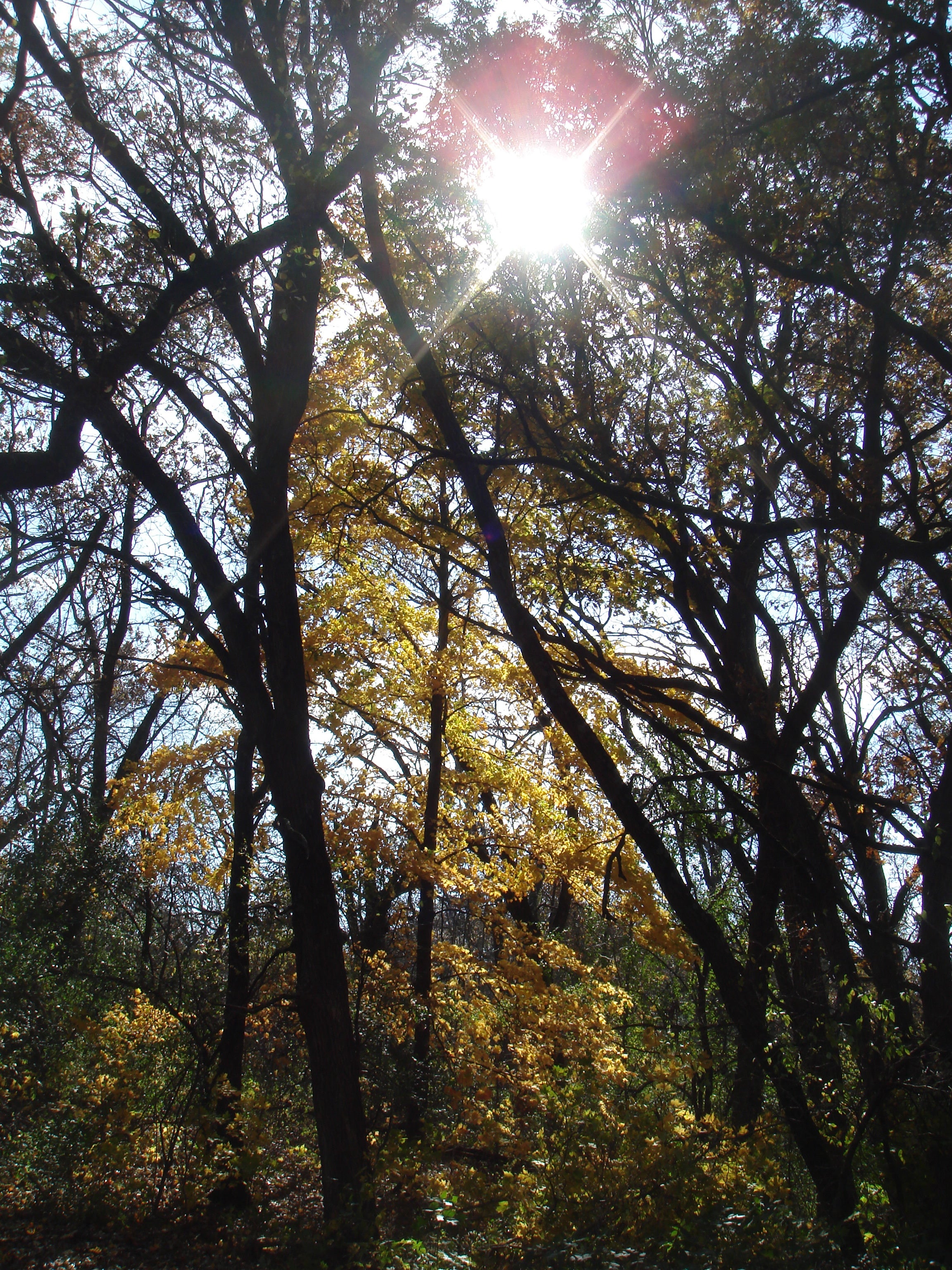 "Kettle Moraine State Forest"