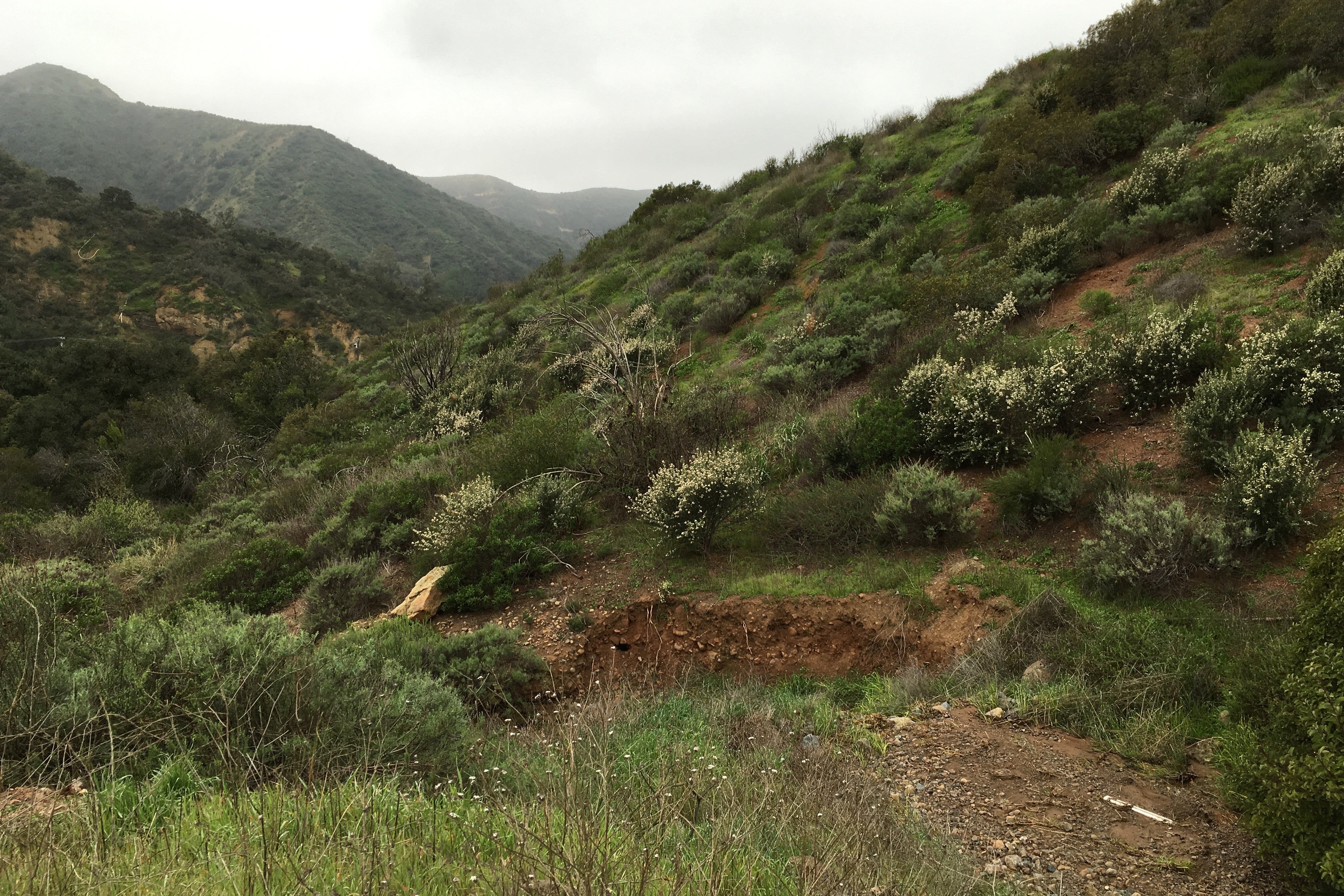 "Cleveland National Forest"