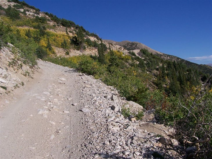 4WD road that leads to the trail None