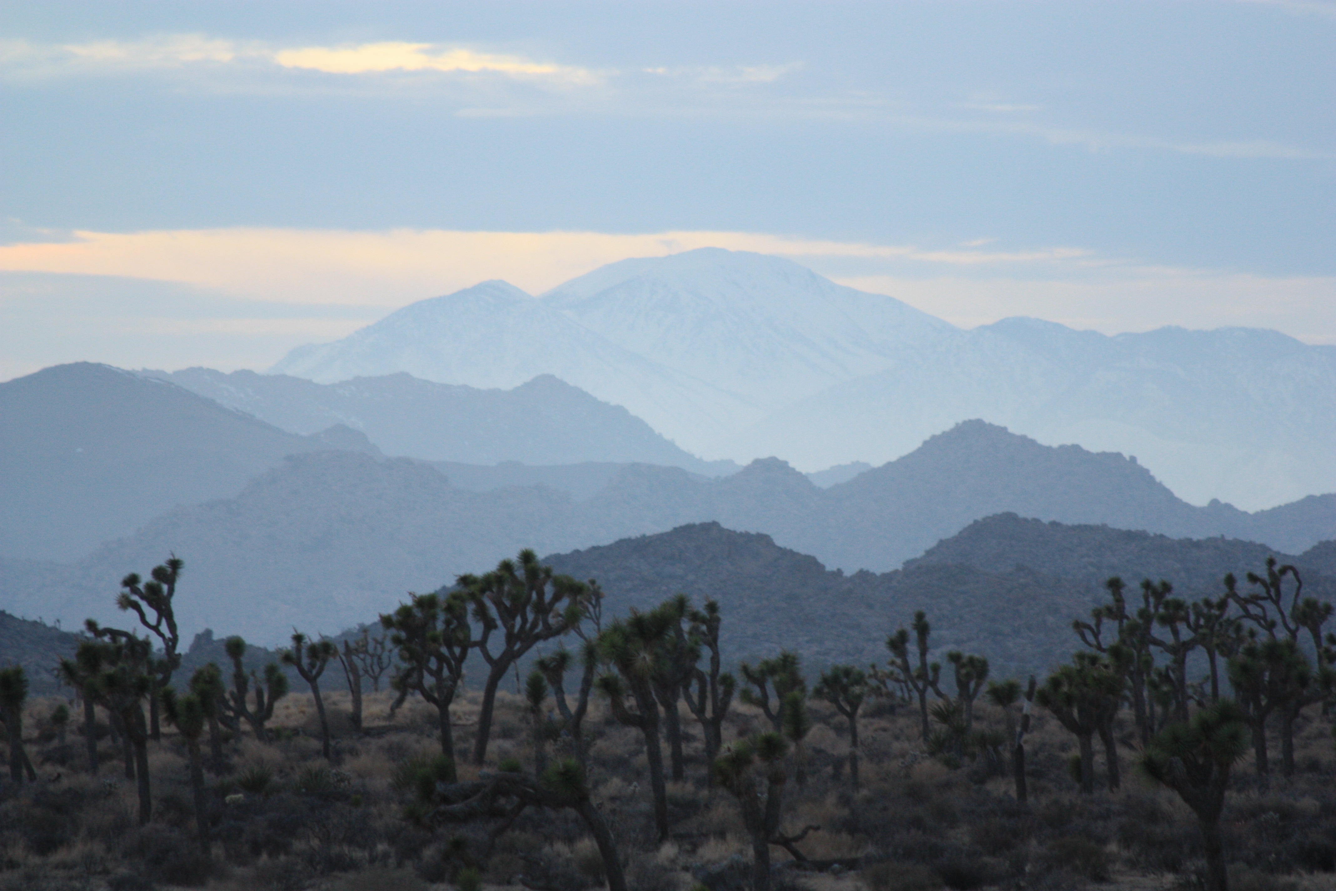 "San Gorgonio Mountain"