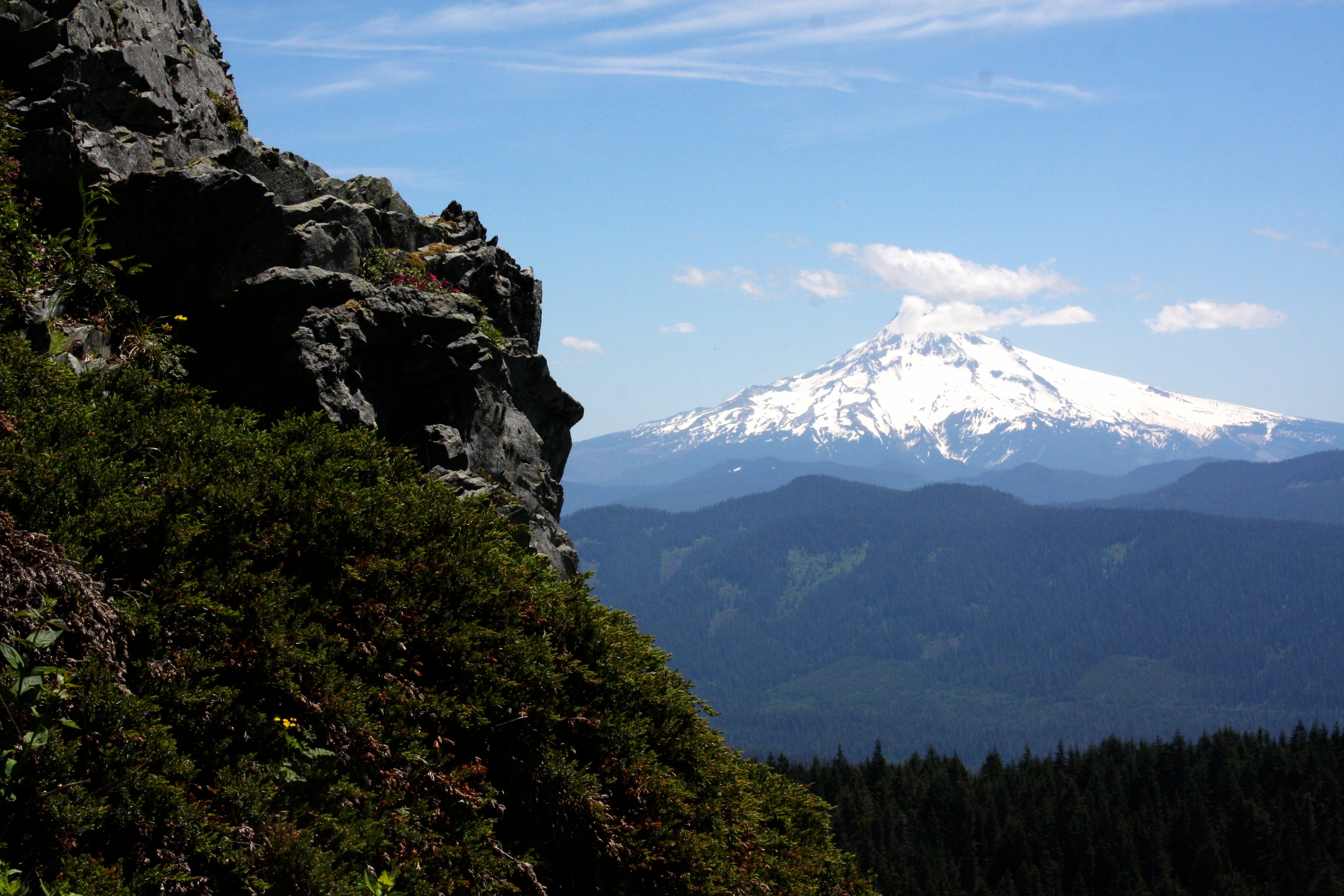 "Mt. Hood from Larch Mountain"