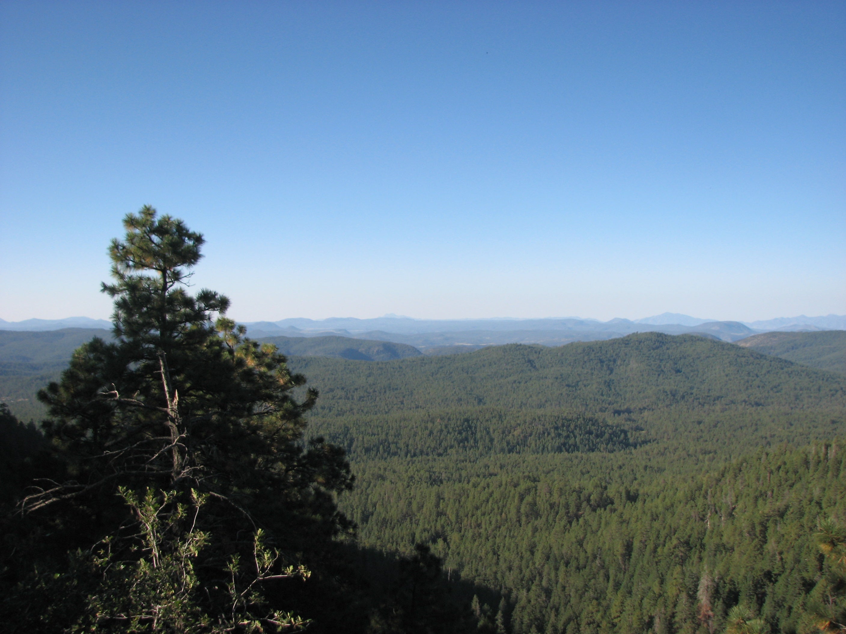 "Apache-Sitgreaves NF"