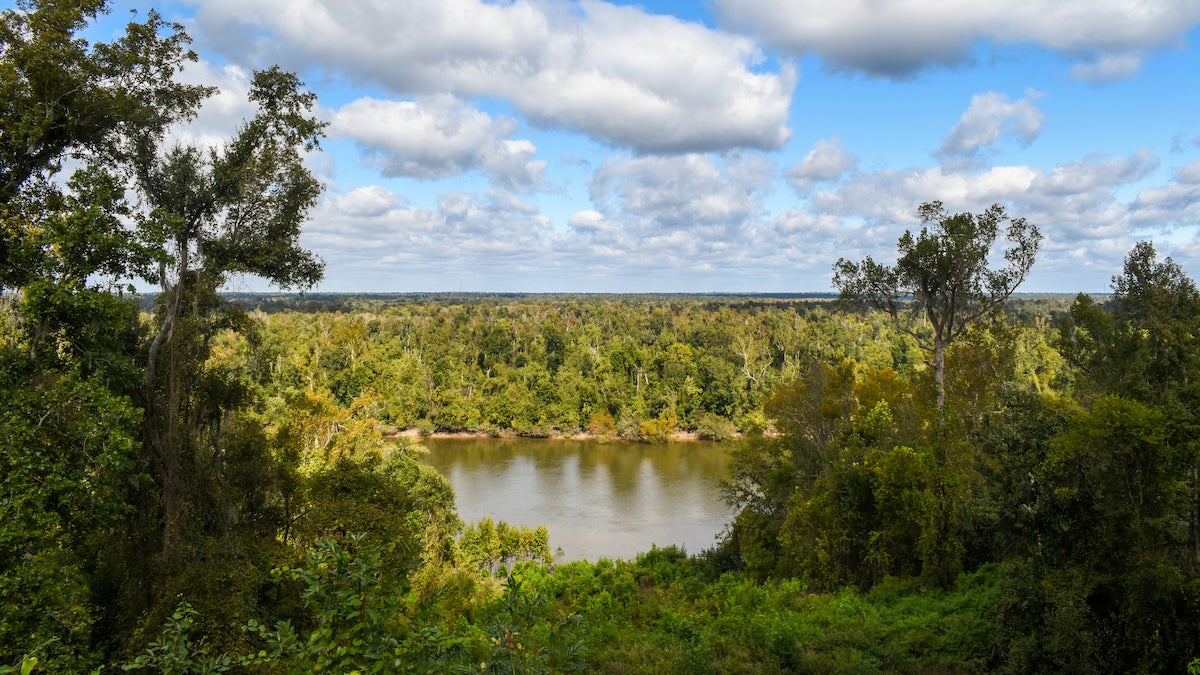 Landscape photograph of the Apalachicola river in Florida