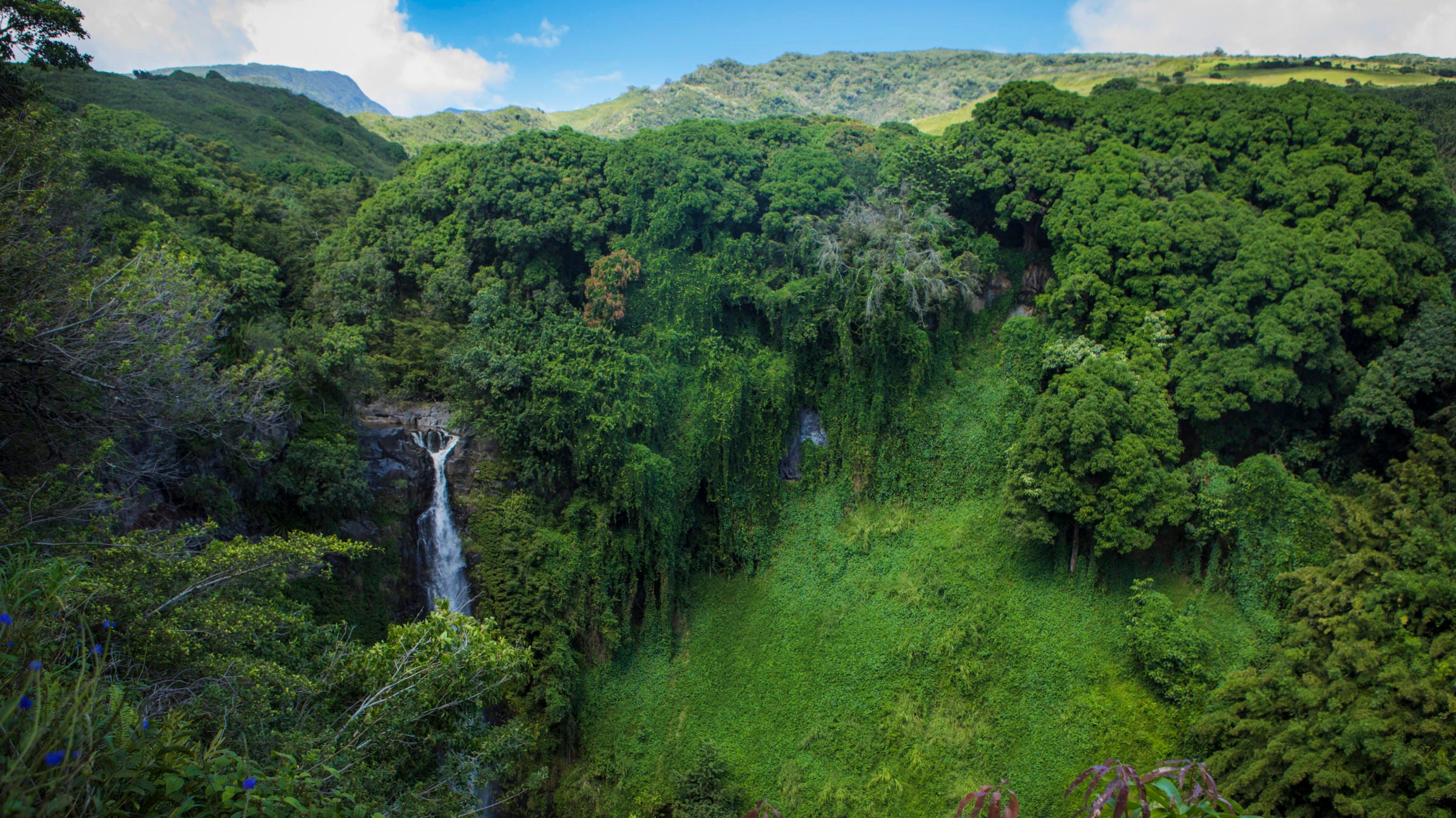 Waterfall on the Pipiwai Trail