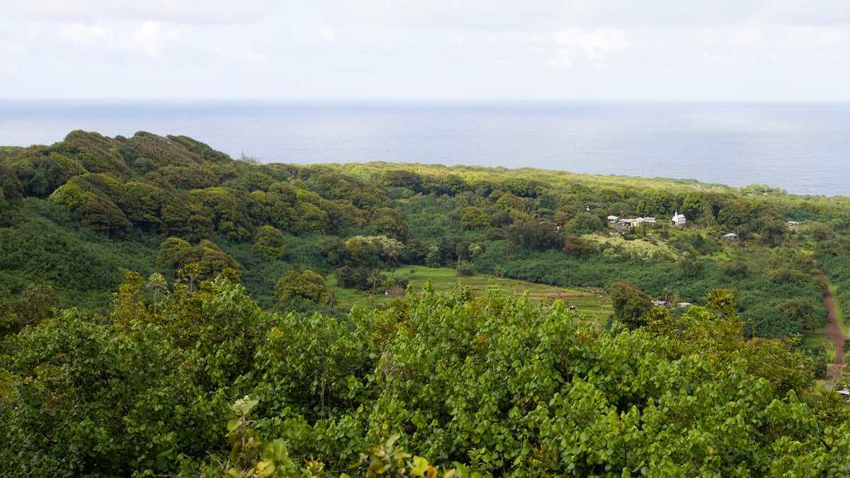 View of Ke'anae Valley from Wailua Valley State Wayside Lookout, Road to Hana.