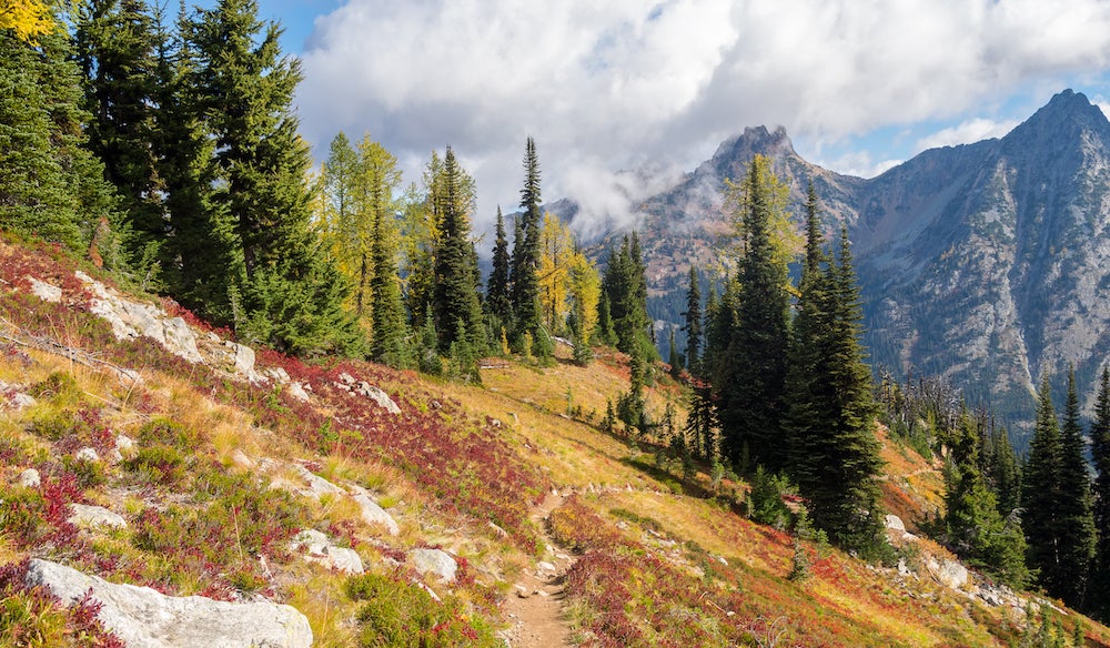 The Maple Pass Loop hiking trail winds through high country meadows with views of the surrounding mountains in Washington's North Cascades.