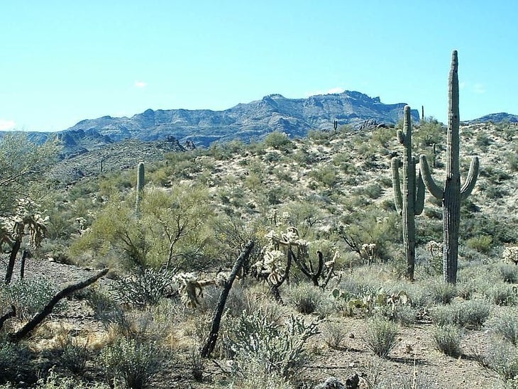A distant mesa None