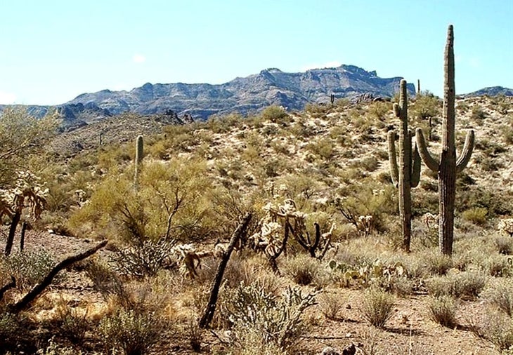 A Distant Mesa None