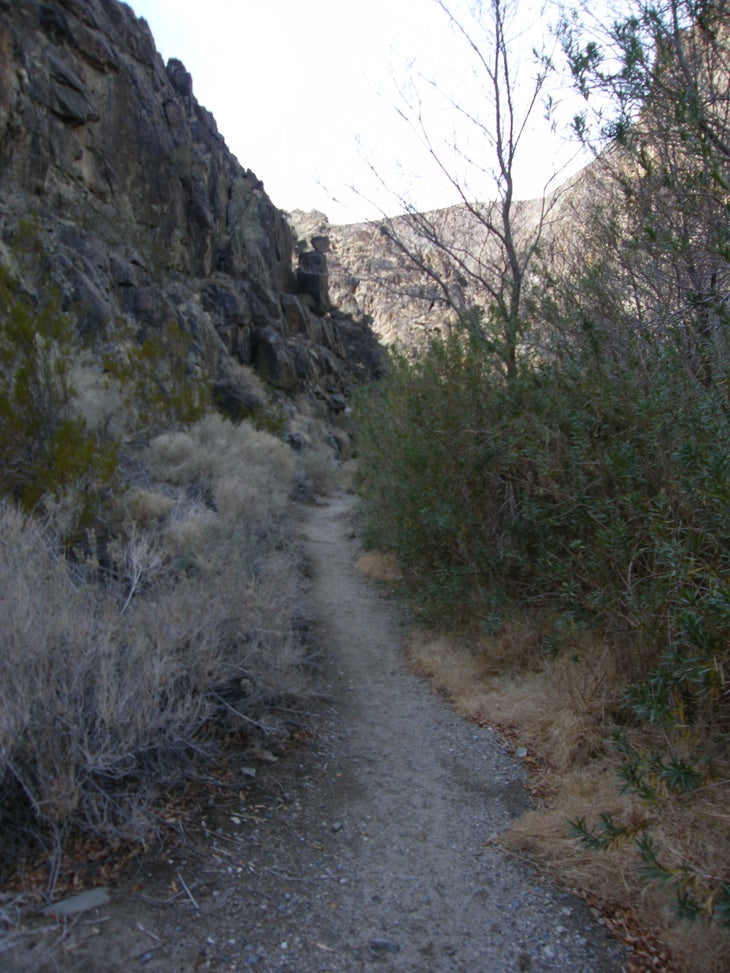 A scenic stretch. None