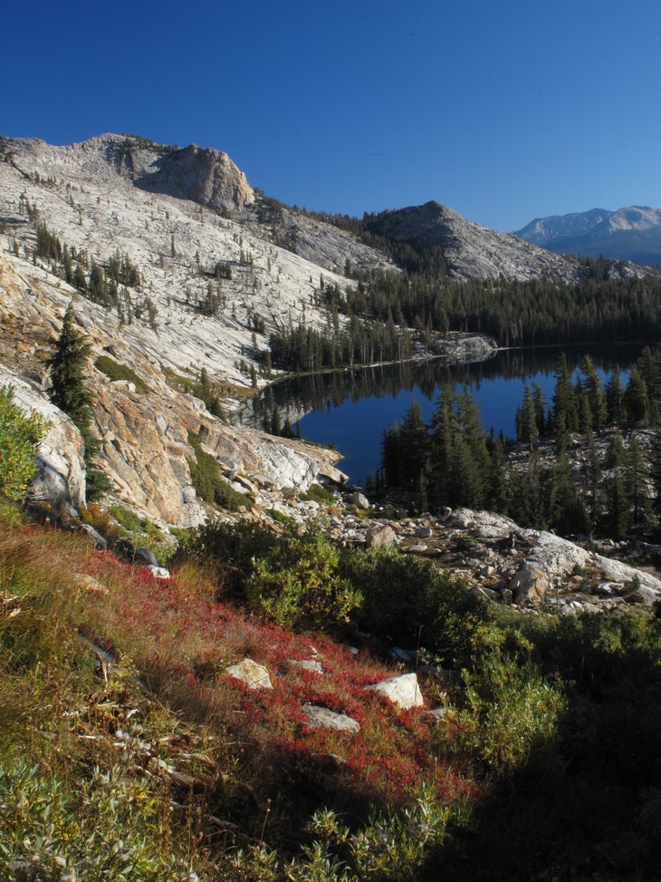 Above May Lake None