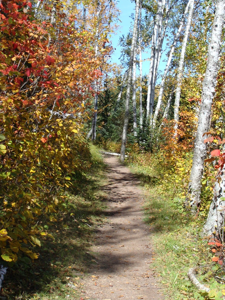 Along the trail, near the Beaver Pond campsite None