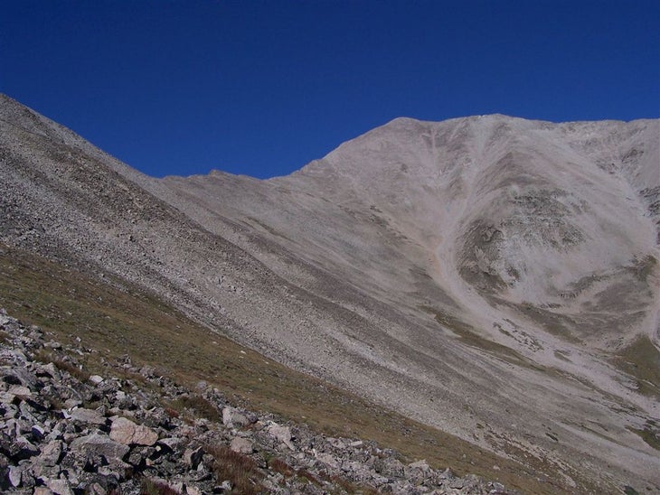 Alpine tundra None