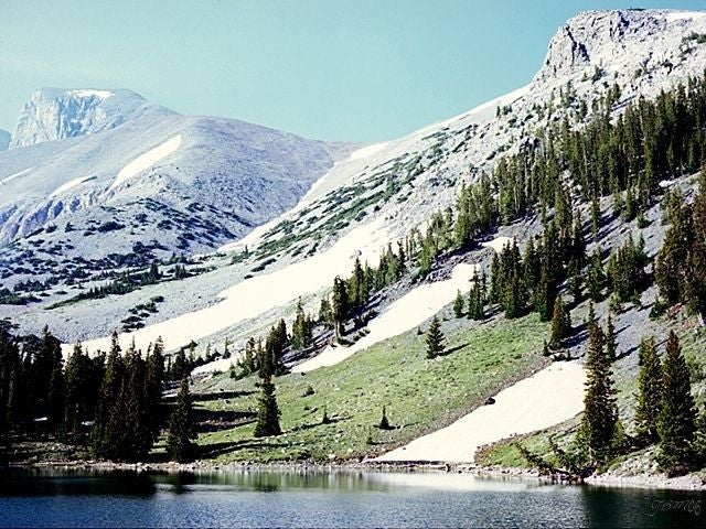 Alpine Zone None