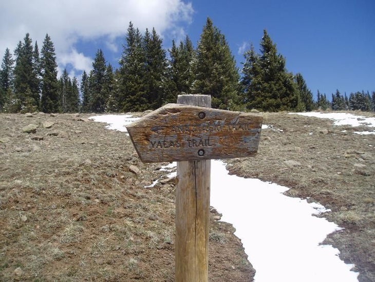 Anastacio Trail Sign None