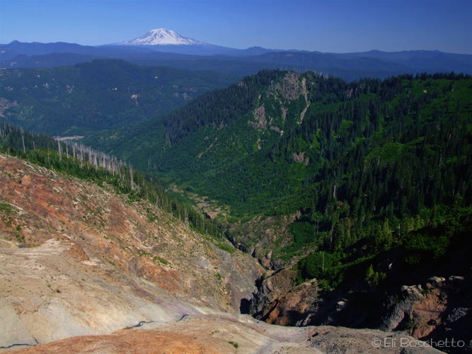 Ape Canyon None