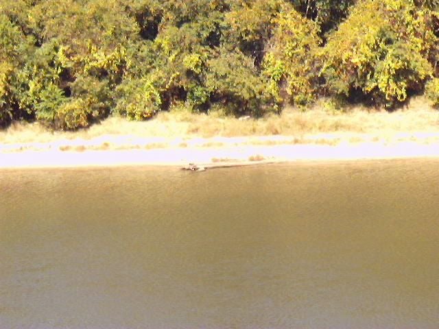 Appalachicola River None
