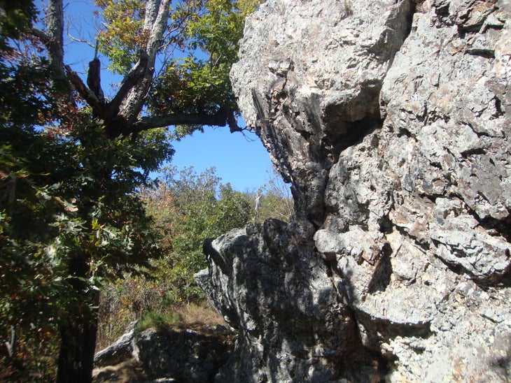 Arkansas Novaculite None
