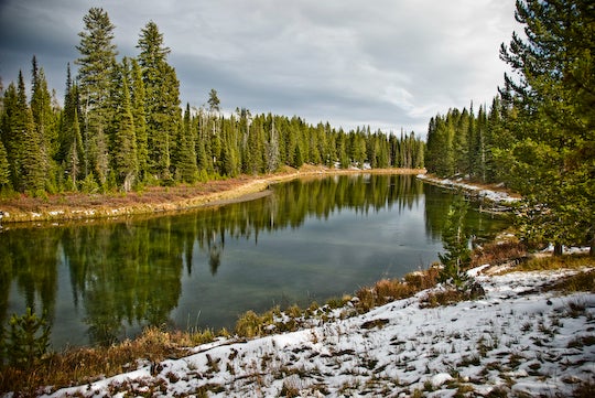 Bechler River None