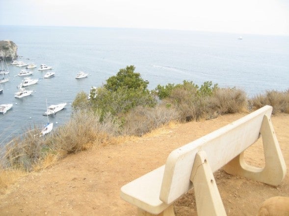 Bench None