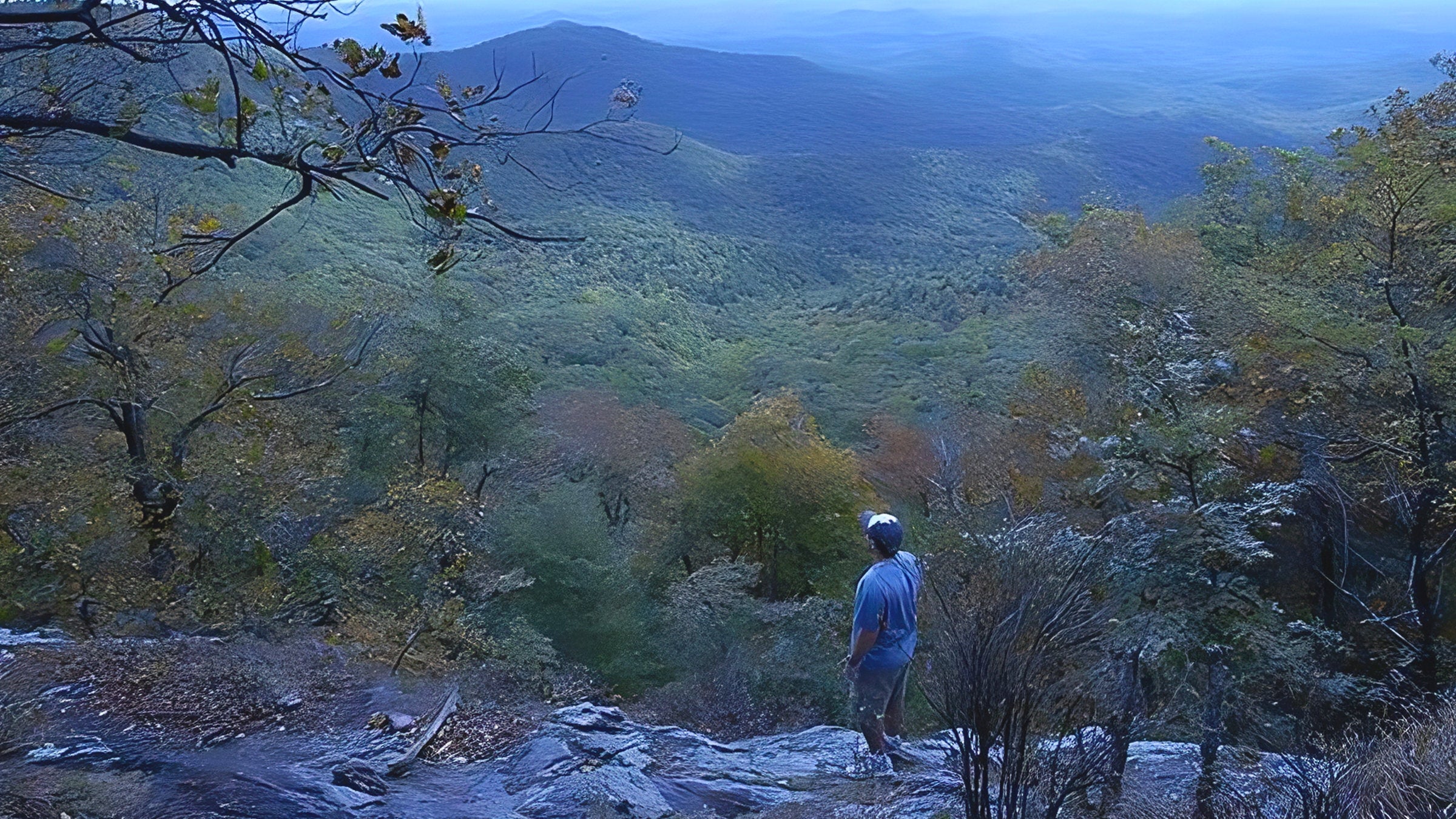 Benton MacKaye Trail