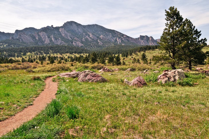 Big Bluestem Trail None