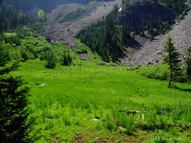 Big Meadow None