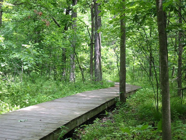 Boardwalk None