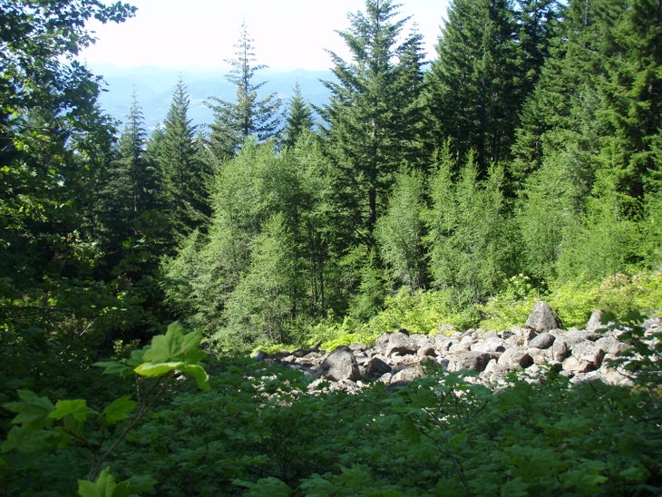 Boulder field. None
