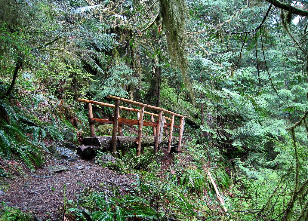 "Log Bridge in Boulder River Wilderness"