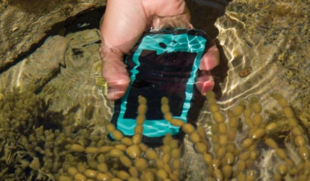 BP0413ELEC Dorn Lifeproof3930 445x260.jpg 77177 BP0413ELEC_Dorn_Lifeproof3930_445x260.jpg