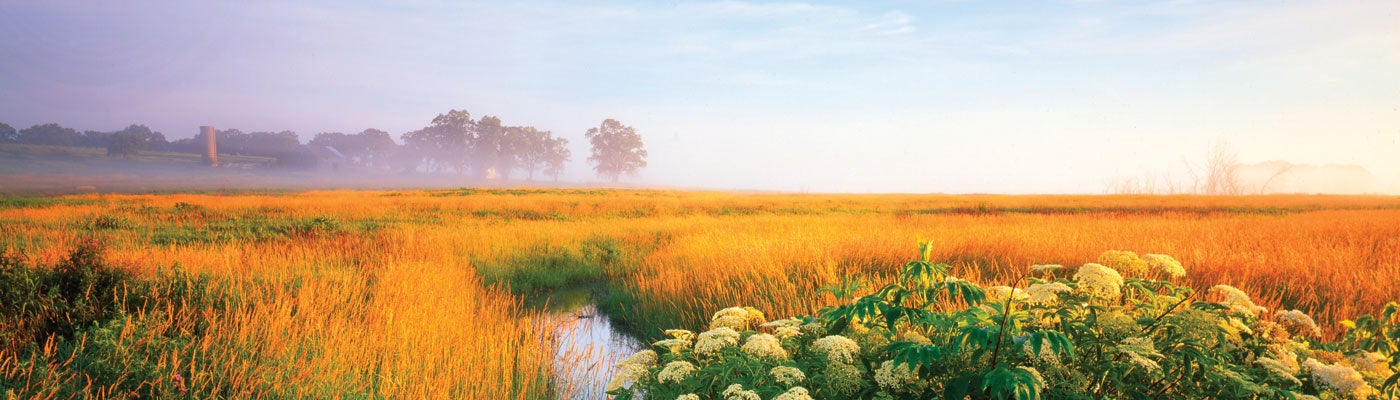 "Glacial Park Conservation Area, Chicago - IL"
