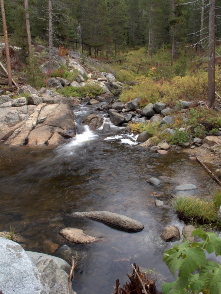 Bridalveil Creek None