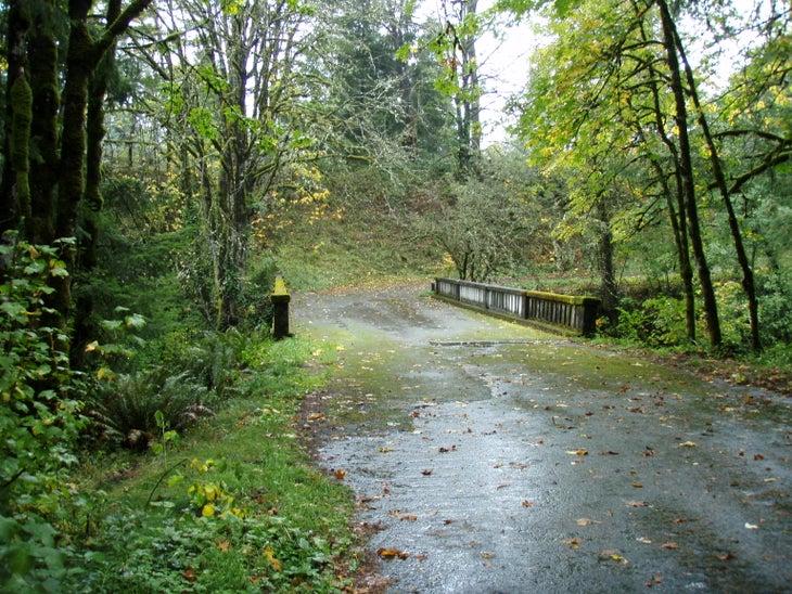 Bridge None