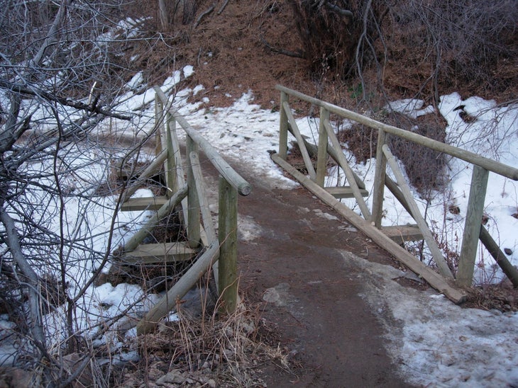 Bridge None