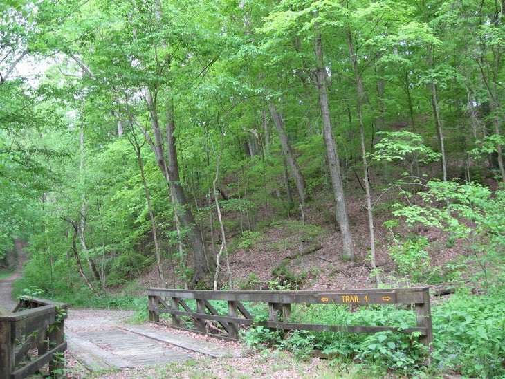 Bridge None