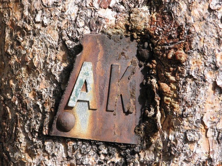 Broken Sign None