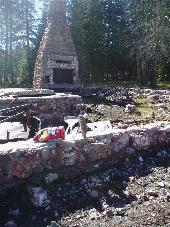 Burnt FS Cabin None