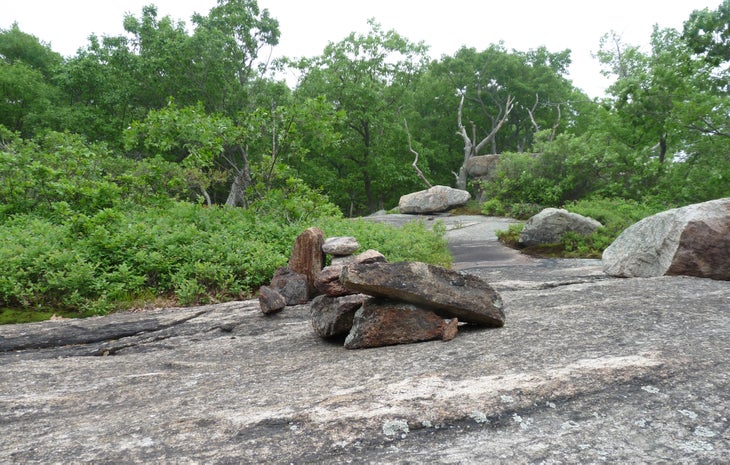 Cairns None