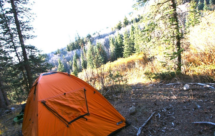 Camp None