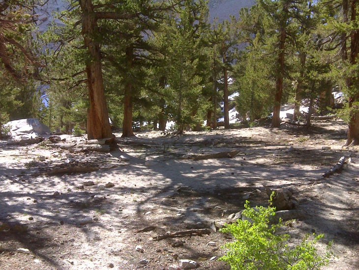 Campsite None