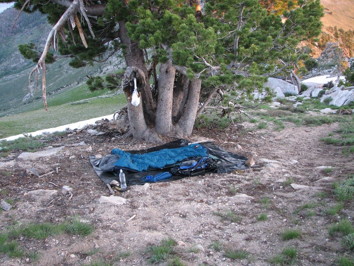 Campsite None