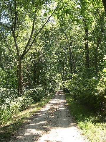 Canal Path None