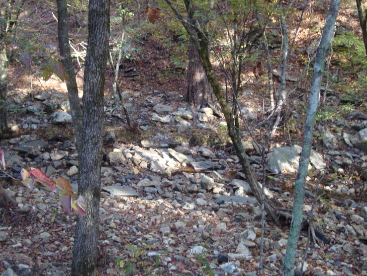 Caney Creek Trail None
