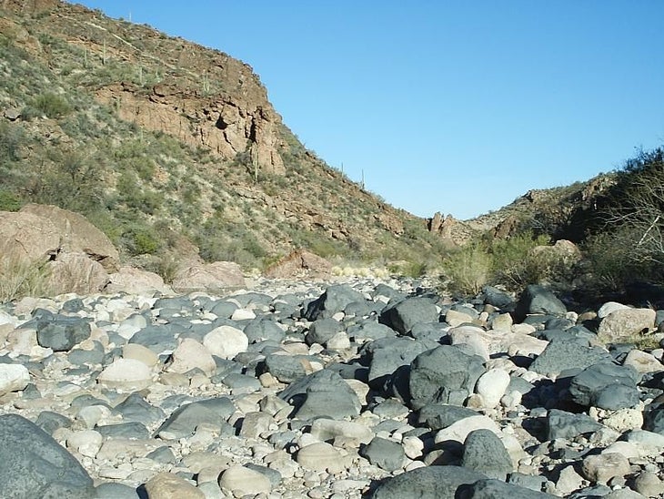 Canyon Bottom None